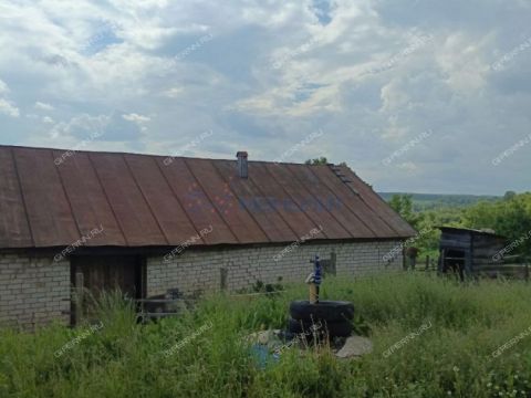 selo-kamenki-bogorodskiy-municipalnyy-okrug фото