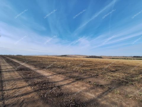 derevnya-ushakovo-bogorodskiy-municipalnyy-okrug фото