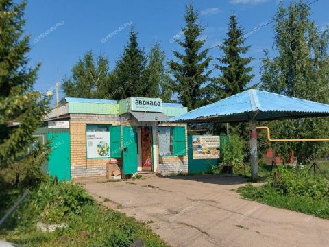derevnya-inyutino-bogorodskiy-municipalnyy-okrug фото
