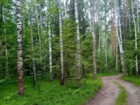 snt-landysh-gorodskoy-okrug-bor фото