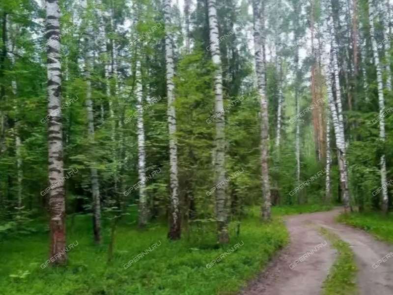 земельный участок 6,45 сотки - посёлок при станции Тарасиха
