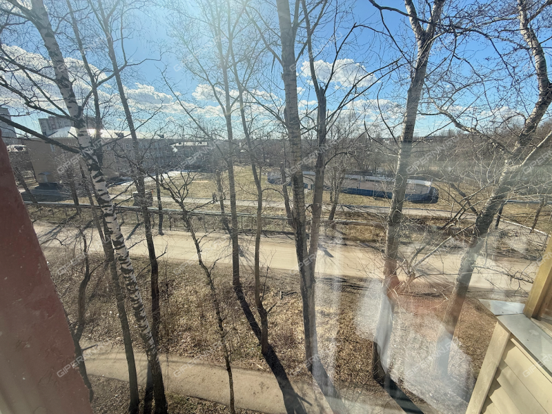 двухкомнатная квартира на Знаменской улице дом 5