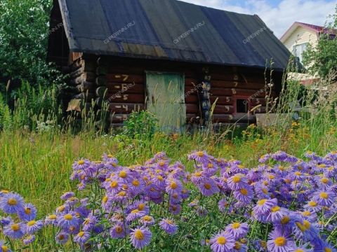 kottedzh-rabochiy-poselok-bolshoe-kozino-balahninskiy-municipalnyy-okrug фото