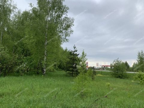 selo-bolshoe-davydovo-pavlovskiy-municipalnyy-okrug фото
