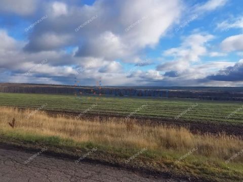 selo-novinki-gorodskoy-okrug-chkalovsk фото