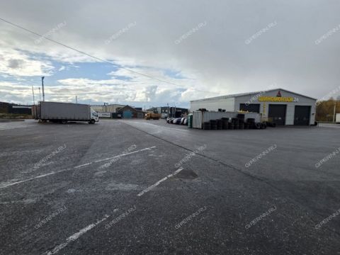 derevnya-novolikeevo-kstovskiy-rayon фото