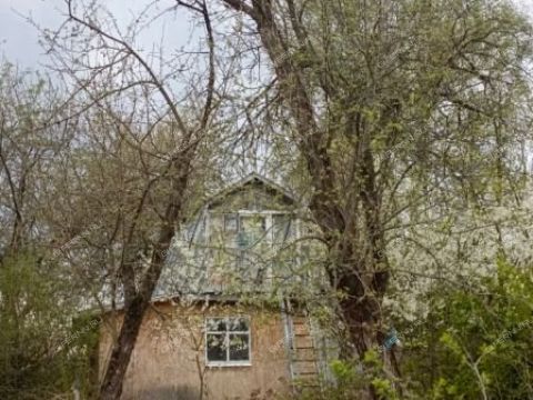 dacha-snt-zheleznodorozhnik-bogorodskiy-municipalnyy-okrug фото