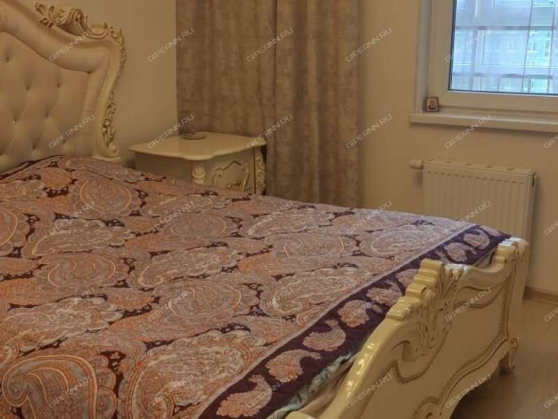 двухкомнатная квартира на Русской улице улице дом 7 деревня Анкудиновка