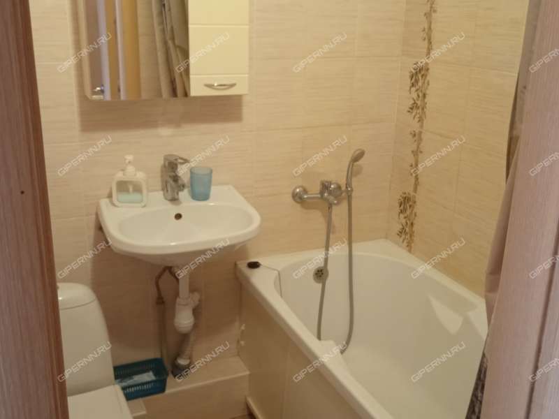 однокомнатная квартира на улице Бринского дом 2 к1