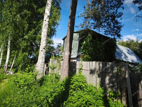 dacha-snt-kolos-2-gorodskoy-okrug-bor фото