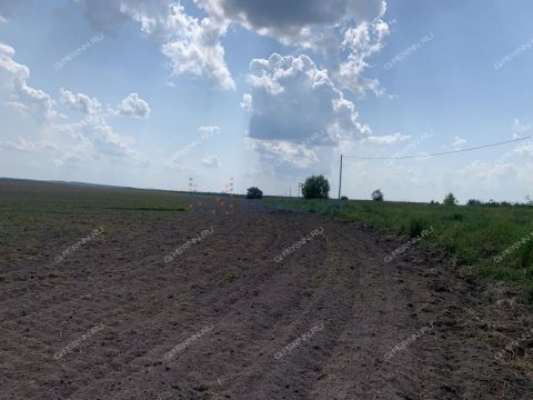 zelenyy-dol-sp-bogorodskiy-municipalnyy-okrug фото