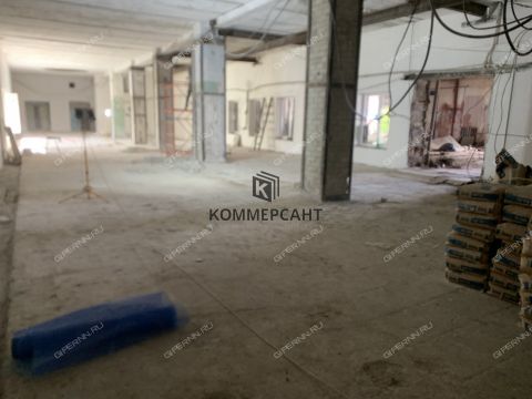 ul-shalyapina-d-2a фото