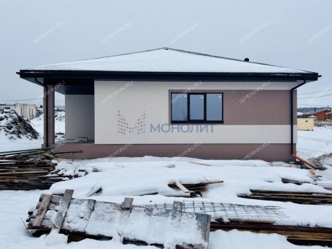 dom-derevnya-berezovka-bogorodskiy-municipalnyy-okrug фото